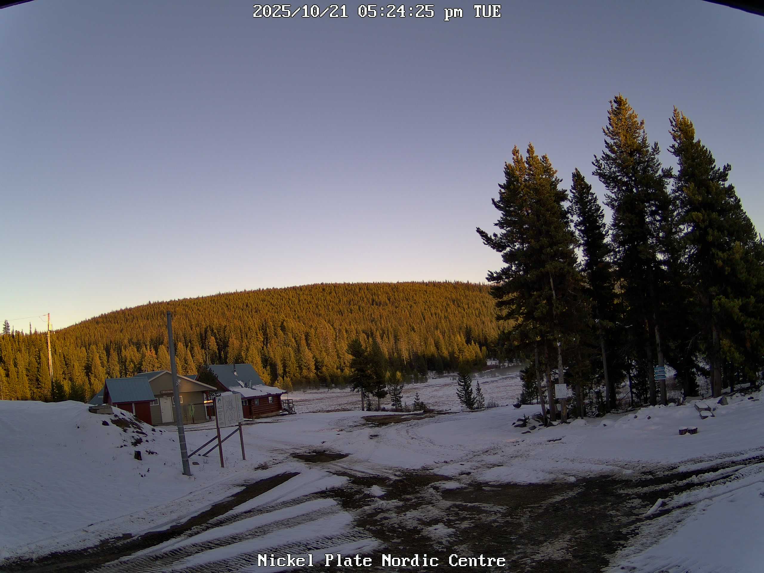 Live Webcam